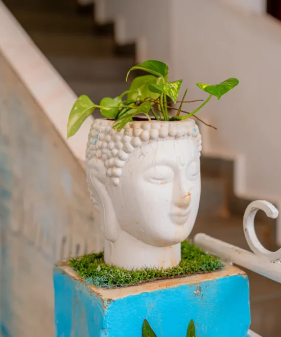 Home 1 31 working space img13 1