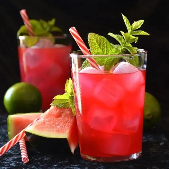 Watermelon Mojito